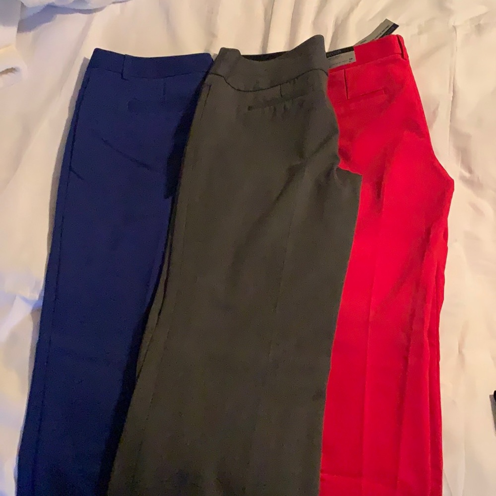 Dress pants